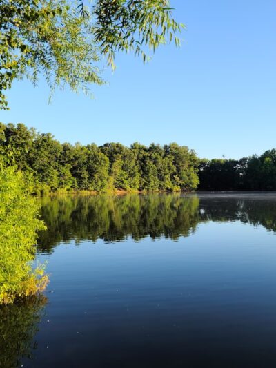 Paderewski Park - Plainville, CT
