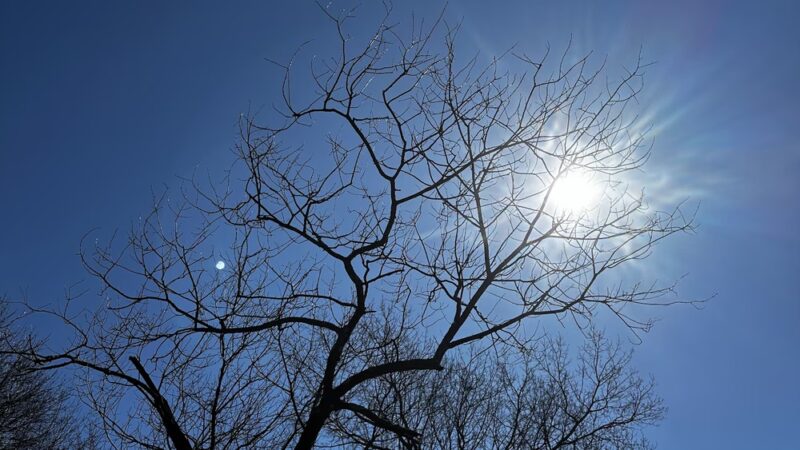 Quinnipiac Park - Plainville, CT