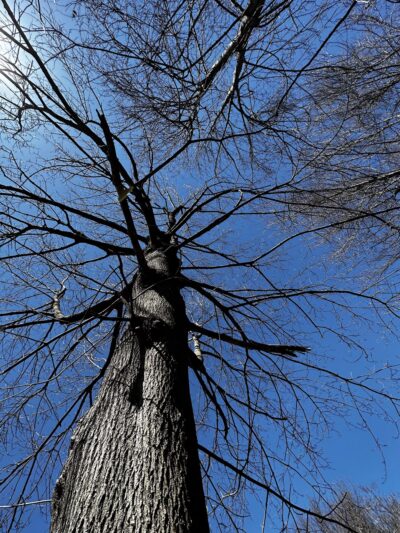 Quinnipiac Park - Plainville, CT