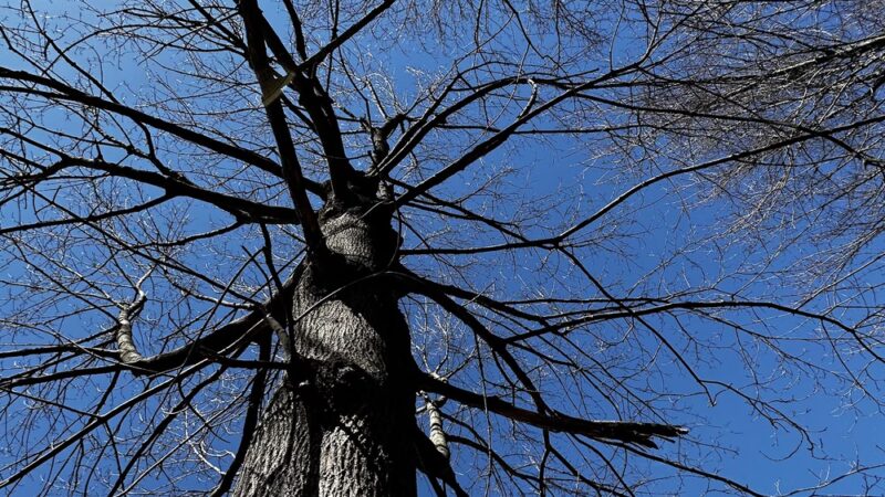 Quinnipiac Park - Plainville, CT