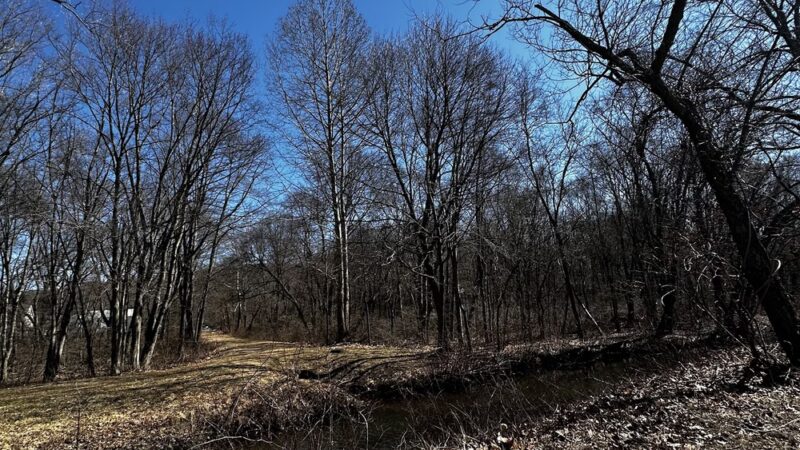 Quinnipiac Park - Plainville, CT