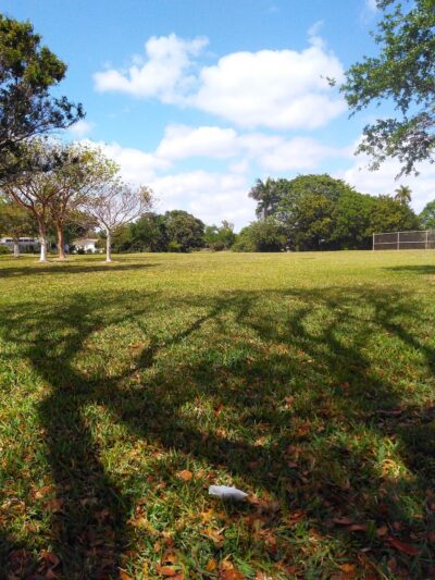 Mirror Lake Park - Plantation, FL