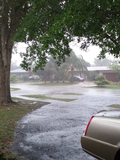 Mirror Lake Park - Plantation, FL