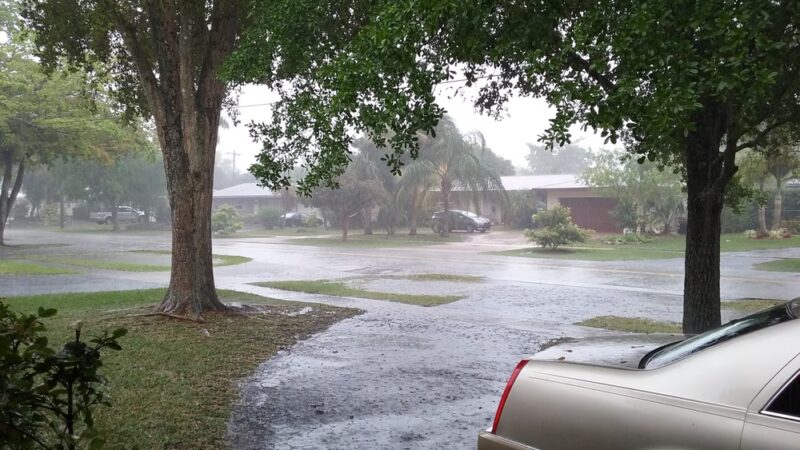 Mirror Lake Park - Plantation, FL