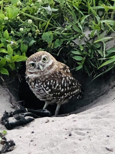 Seminole Park - Plantation, FL