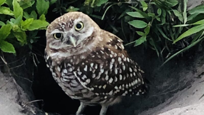 Seminole Park - Plantation, FL