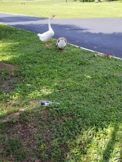 Seminole Park - Plantation, FL