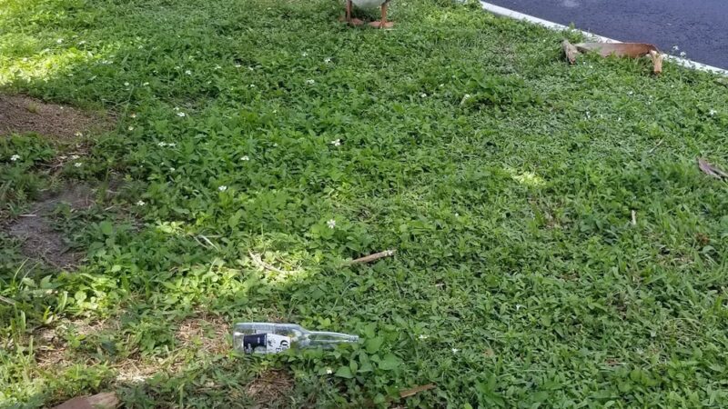 Seminole Park - Plantation, FL