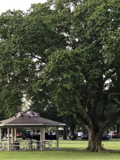 Seminole Park - Plantation, FL