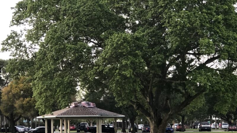 Seminole Park - Plantation, FL