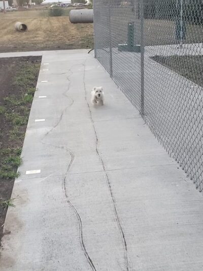 Rover Run (dog park) - Platte, SD