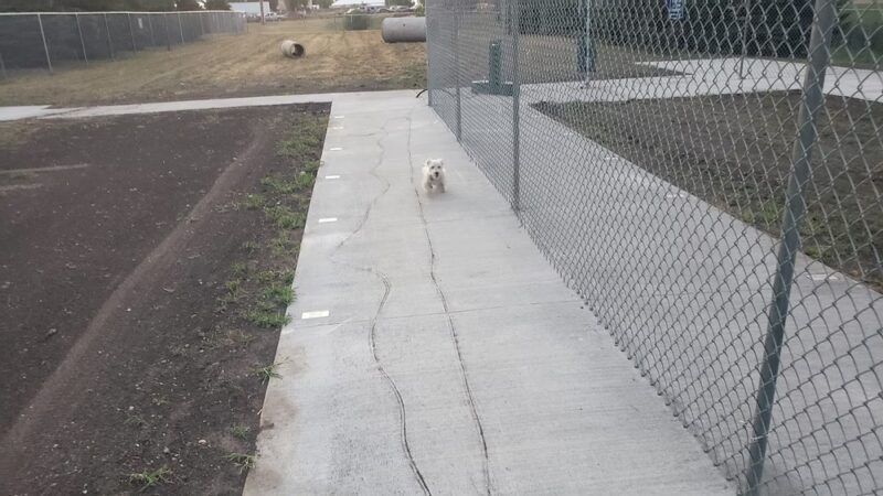 Rover Run (dog park) - Platte, SD