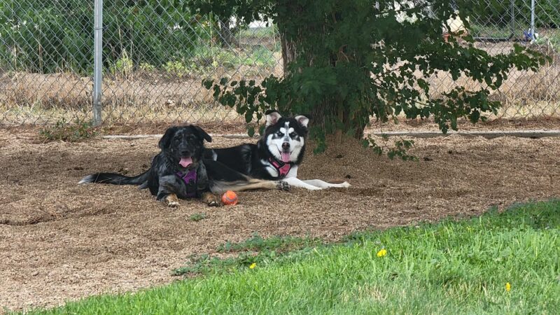 Platteville Dog Park - Platteville, CO