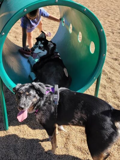 Platteville Dog Park - Platteville, CO