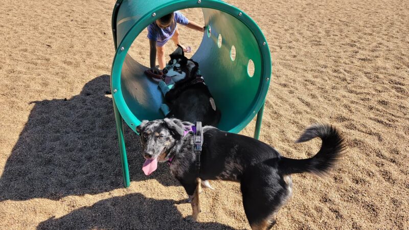 Platteville Dog Park - Platteville, CO