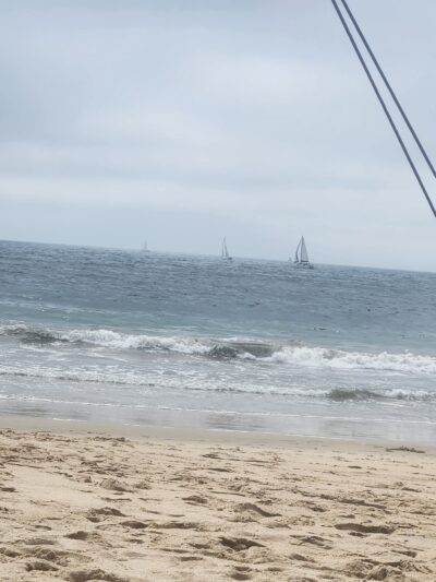 Playa Del Dog Beach - Playa Del Rey, CA