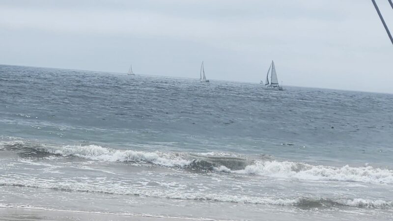 Playa Del Dog Beach - Playa Del Rey, CA