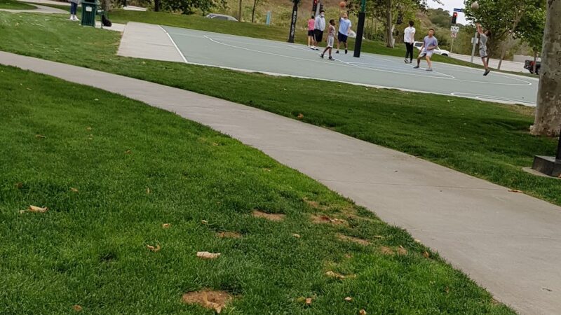 Playa Vista Sports Park - Playground - Playa Vista, CA