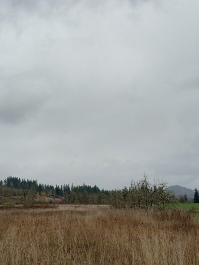 Mount Pisgah East Trailhead - Pleasant Hill, OR
