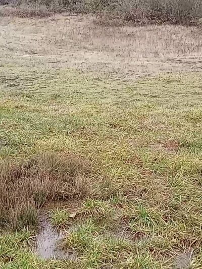 Mount Pisgah East Trailhead - Pleasant Hill, OR