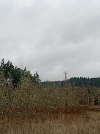 Mount Pisgah East Trailhead - Pleasant Hill, OR