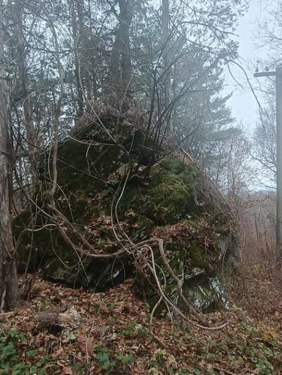 909/Taconic Hereford Trail Parking - Pleasant Valley, NY