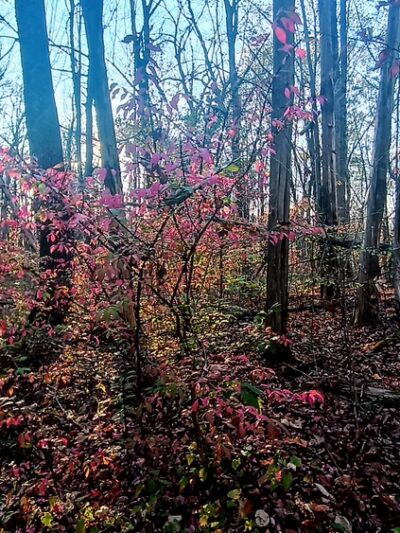 James Baird State Park - Pleasant Valley, NY