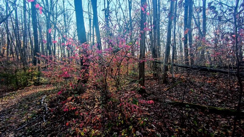 James Baird State Park - Pleasant Valley, NY