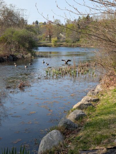 Nannahagen Park - Pleasantville, NY