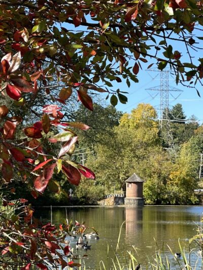 Nannahagen Park - Pleasantville, NY