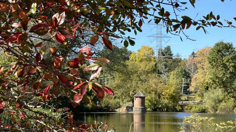 Nannahagen Park - Pleasantville, NY