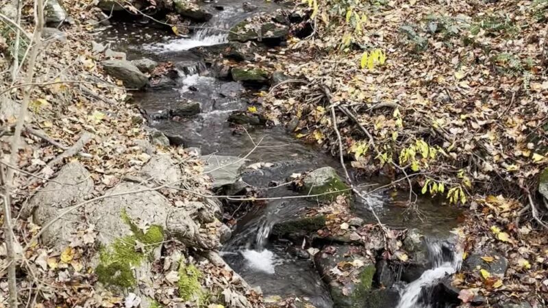 North County Trail Parking - Pleasantville, NY