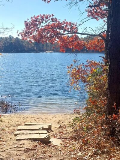 Deer Pond Dog Beach - Plymouth, MA