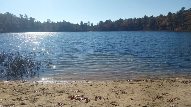 Deer Pond Dog Beach - Plymouth, MA