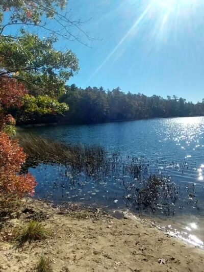 Deer Pond Dog Beach - Plymouth, MA