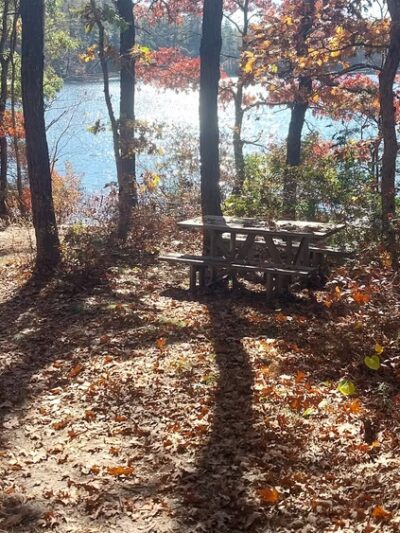 Deer Pond Dog Beach - Plymouth, MA