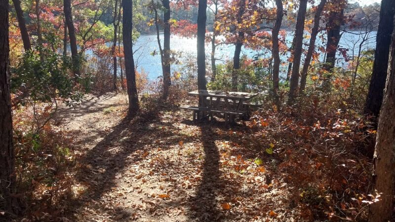 Deer Pond Dog Beach - Plymouth, MA