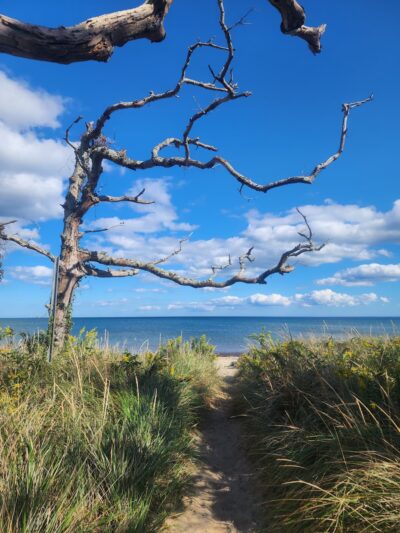 Ellisville Harbor State Park - Plymouth, MA