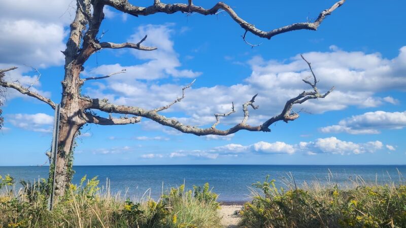 Ellisville Harbor State Park - Plymouth, MA