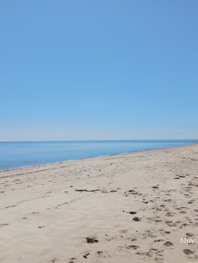 Manomet Recreation Area - Plymouth, MA