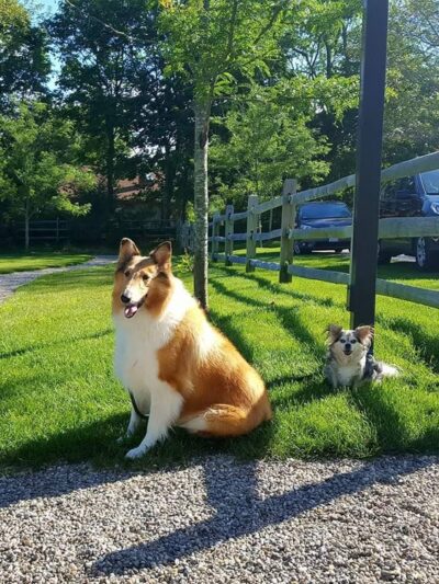 St. Catherine's Chapel Park - Plymouth, MA