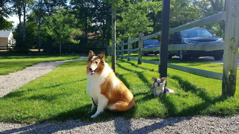 St. Catherine's Chapel Park - Plymouth, MA