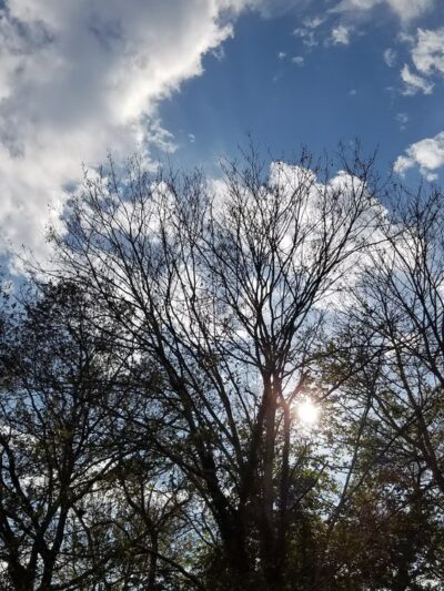 St. Catherine's Chapel Park - Plymouth, MA