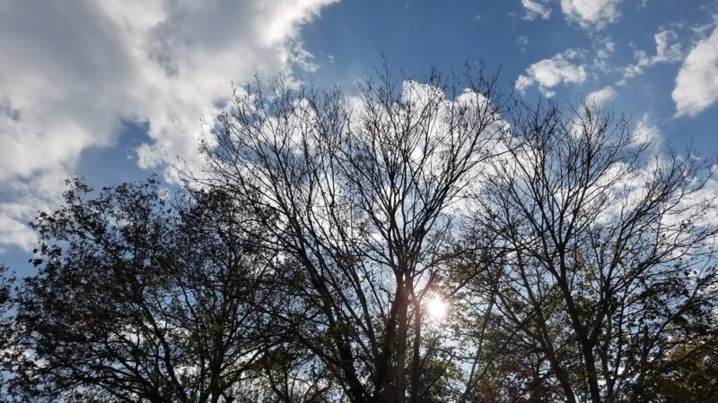 St. Catherine's Chapel Park - Plymouth, MA