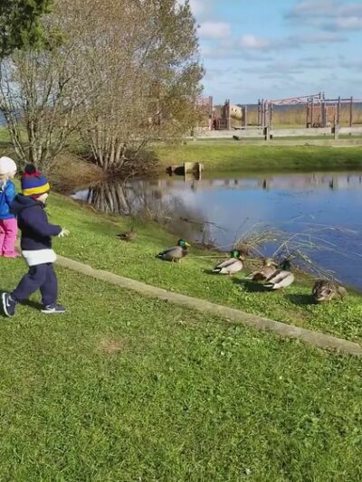 Stephens Field - Plymouth, MA