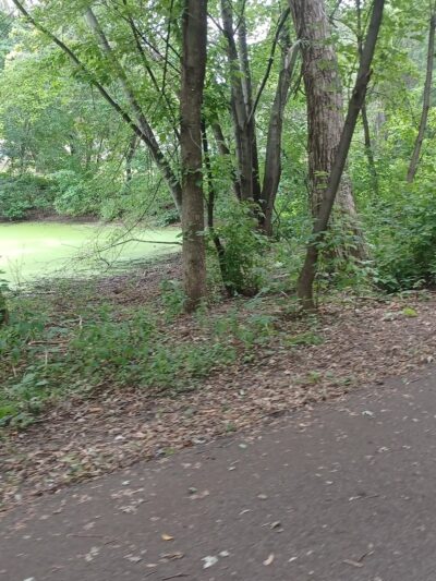 Gleanloch Park - Plymouth, MN