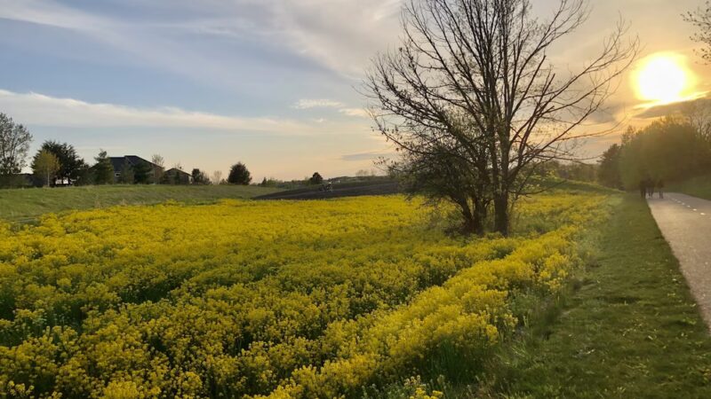 Northwest Greenway - Plymouth, MN
