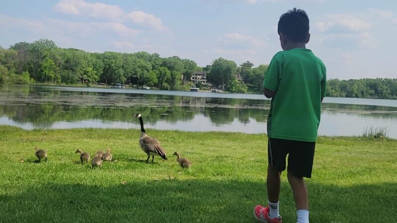 Parkers Lake Park - Plymouth, MN