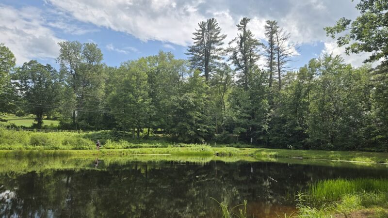 Fox Park Playground - Plymouth, NH