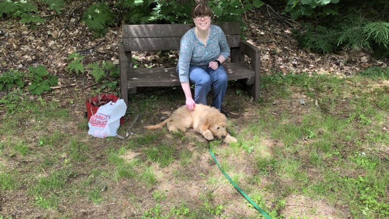 Fox Park Playground - Plymouth, NH